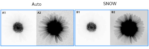 Comparison of auto IR-short image and SNOW captured