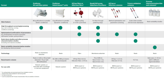 Process development formats overview