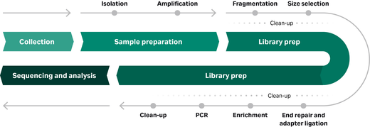 Typical NGS workflow from sample collection to sequencing and analysis