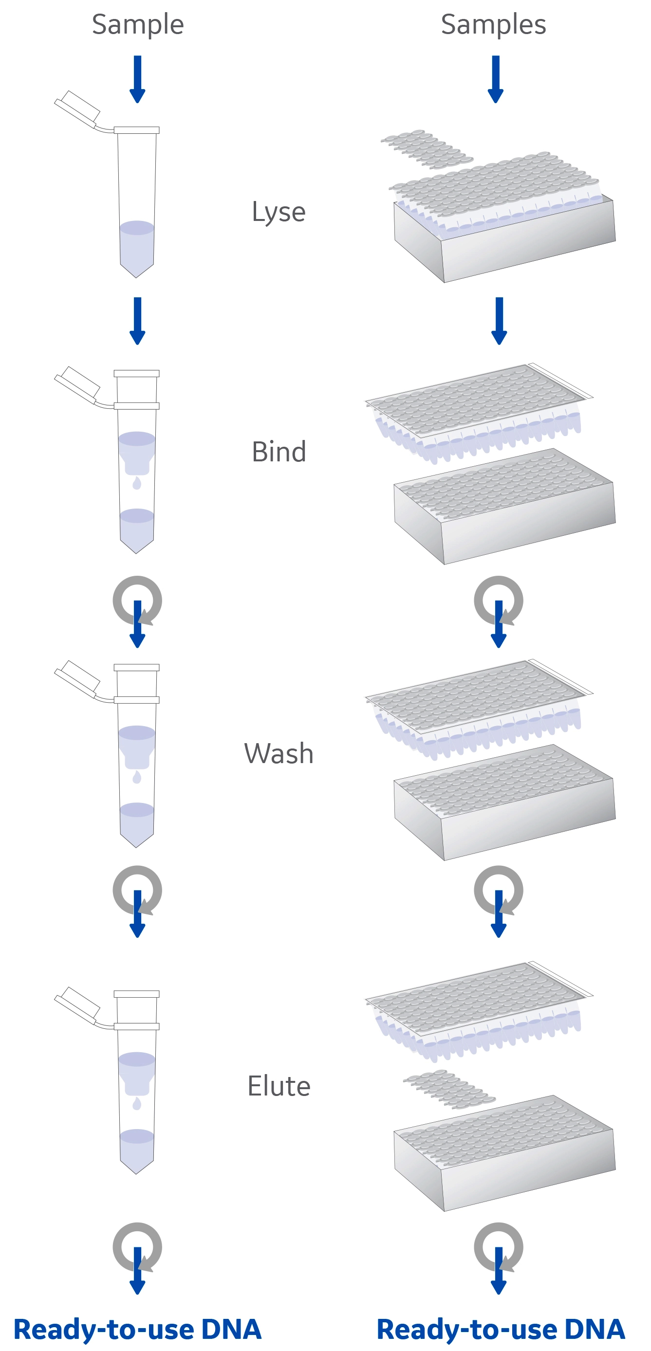 Glass fiber filters for straightforward nucleic acid extraction Cytiva