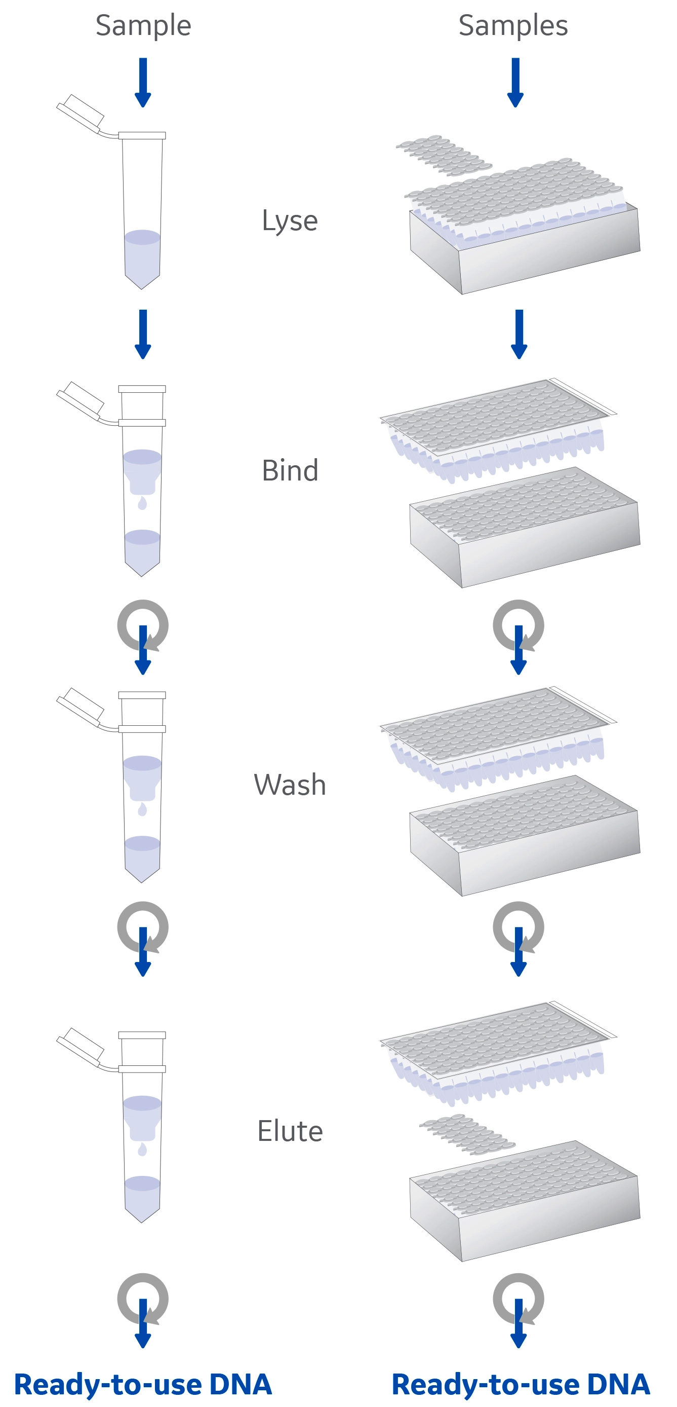 Classical nucleic acid extraction method using glass fiber filters