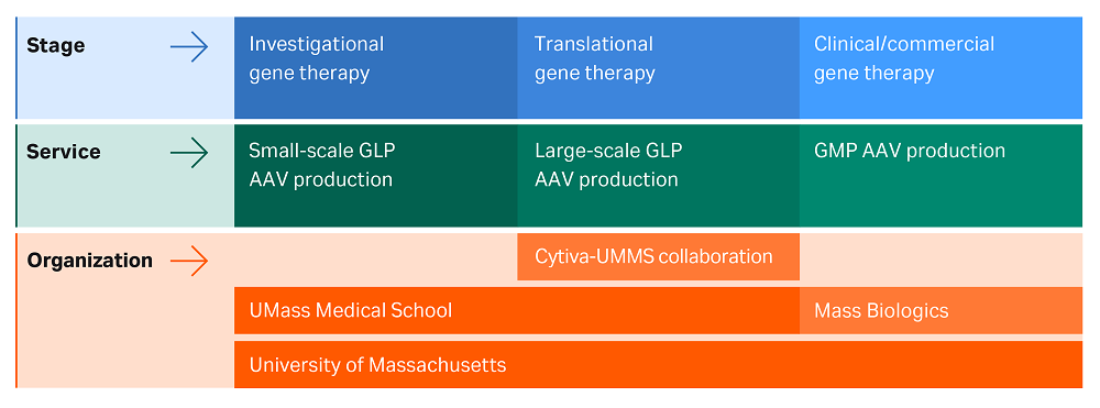 AAV production manufacturing facility, preclinical gene therapy service