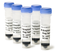 Streptavidin Mag Sepharose