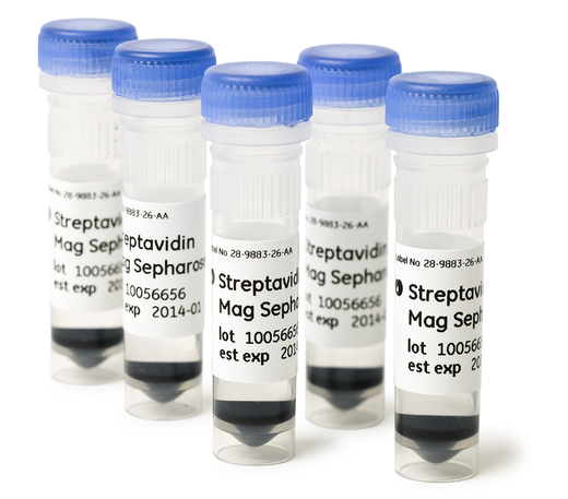 Streptavidin Mag Sepharose