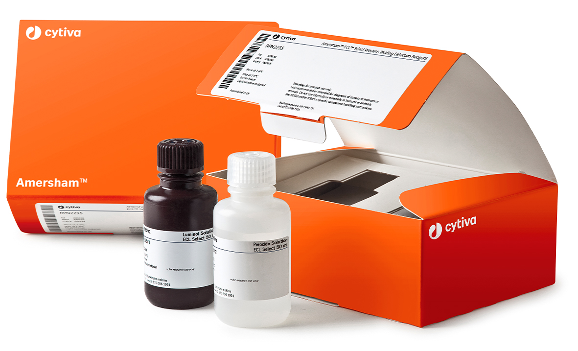 Amersham ECL Select WB detection reagent. (Measurement Quantity:1) (Measurement Coding:kit).(Qty Per:1) Contains 50ml each of Solution A and Solution B