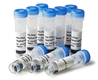 His Mag Sepharose™ excel