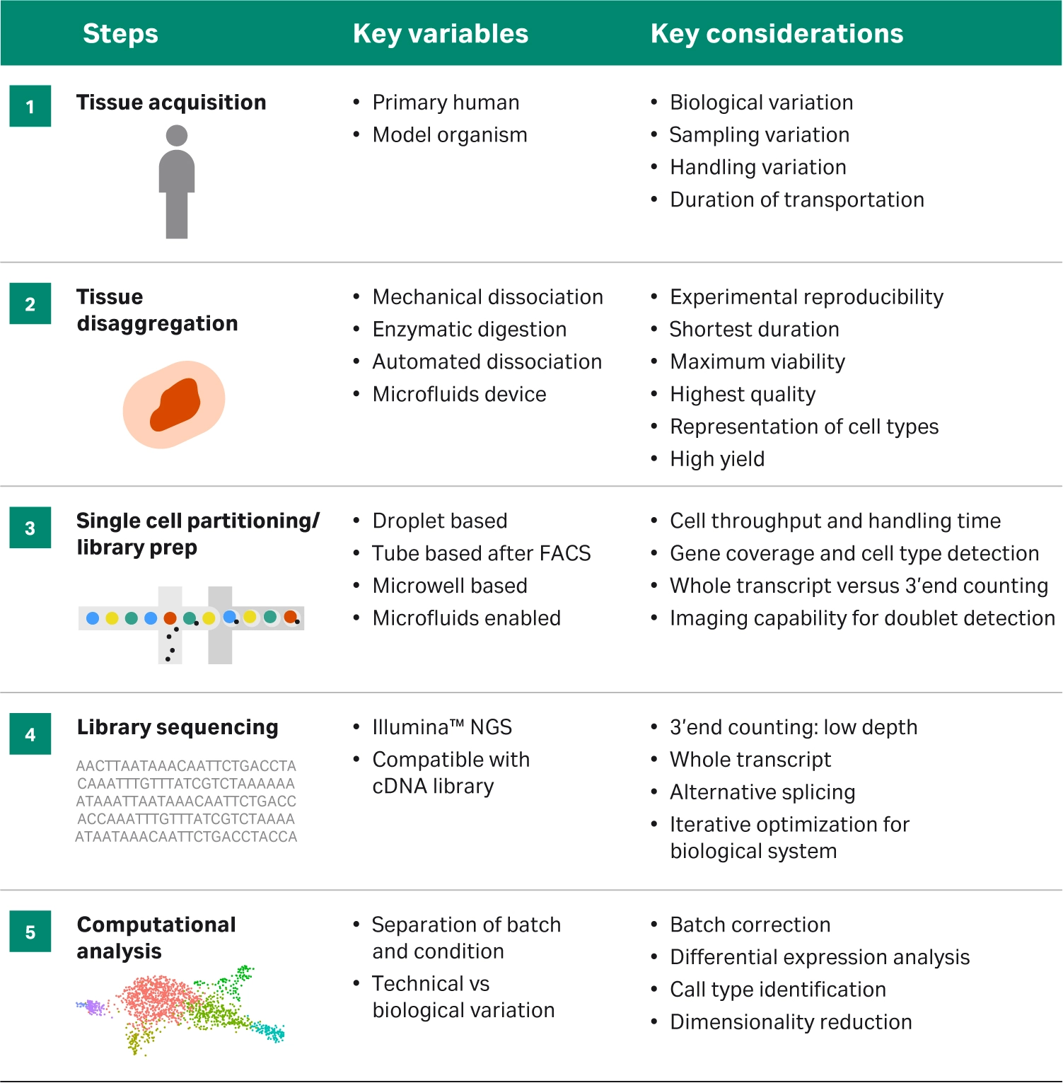 Overview of stepwise approach to designing single cell analysis workflow