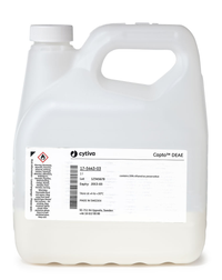 Capto DEAE 10l