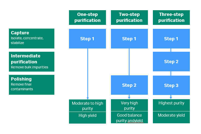 Combine chromatography techniques to optimize your protein purification protocol.