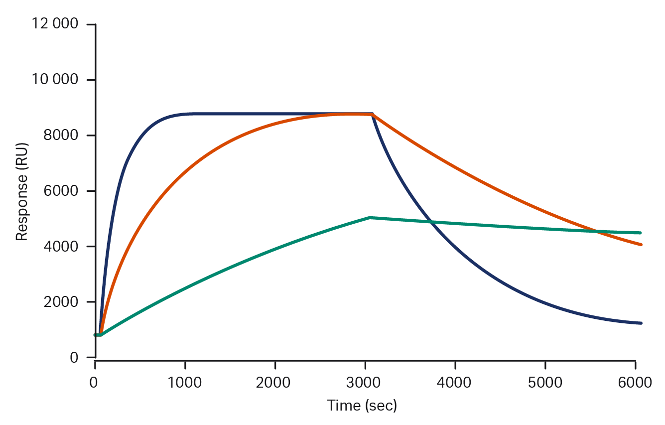 Sensorgrams from Biacore SPR instruments showing three molecules with identical affinities, but kinetic profiles differing by several orders of magnitude.