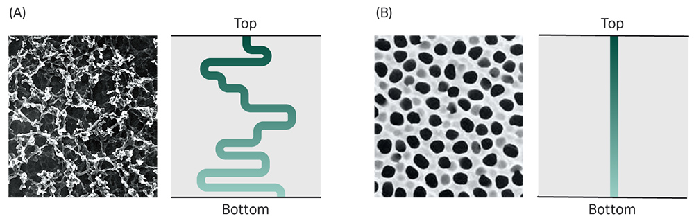 Comparison of tortuous path and true pore membrane structures.