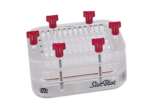  PR 648 Slot Blot Manifold