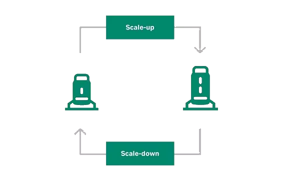 Bioreactor scale-up and scale-down