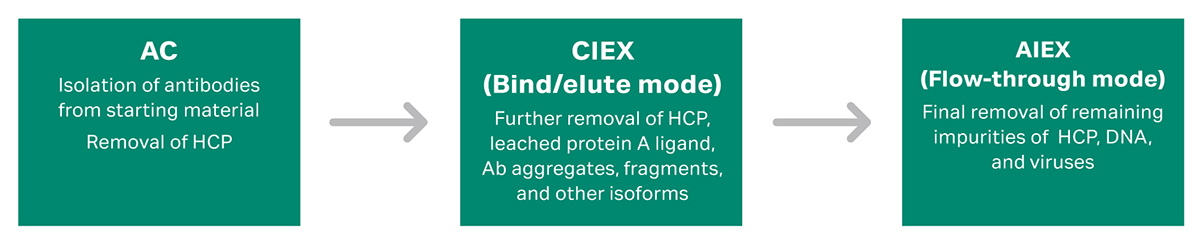 Example of a chromatography resin platform for monoclonal antibody 