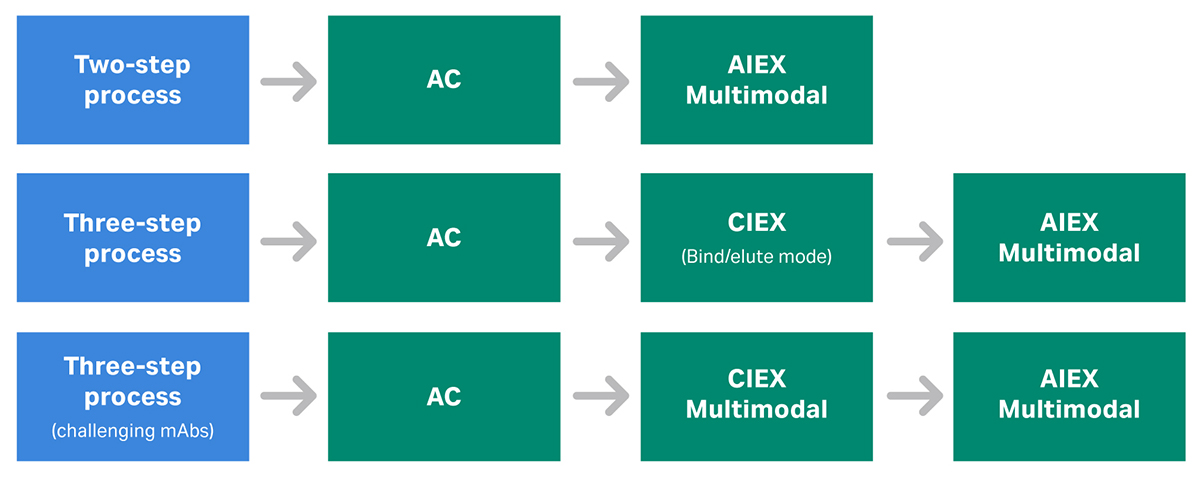 Examples of chromatography purification platforms