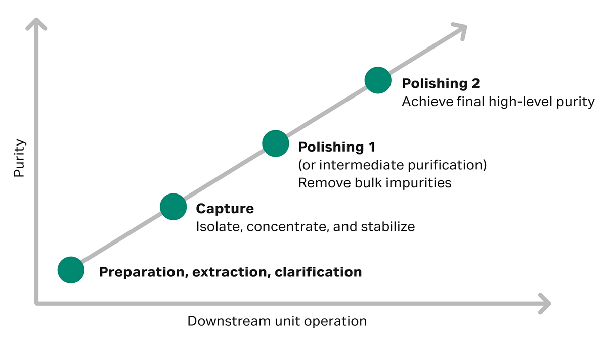 A guide to polishing chromatography in process development Cytiva