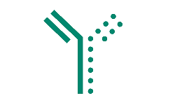 Icon illustrating antibody bispecific