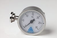 P.GAUGE,0-30PSIG-0.75-IN TC