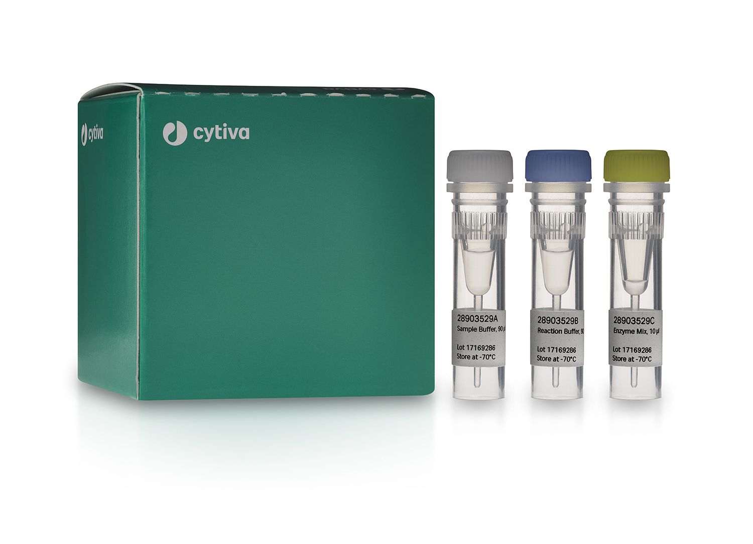 TempliPhi Sequence Resolver Kits