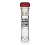 TempliPhi Amplification Kits | Cytiva