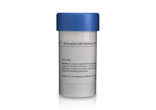 DNA (Calf Thymus), activated | Cytiva