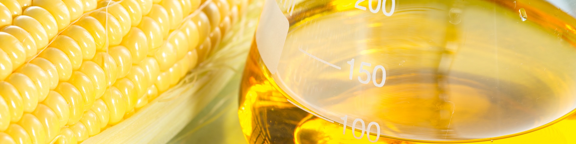 MashPrep hero banner