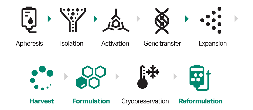 General workflow for cell therapy manufacturing