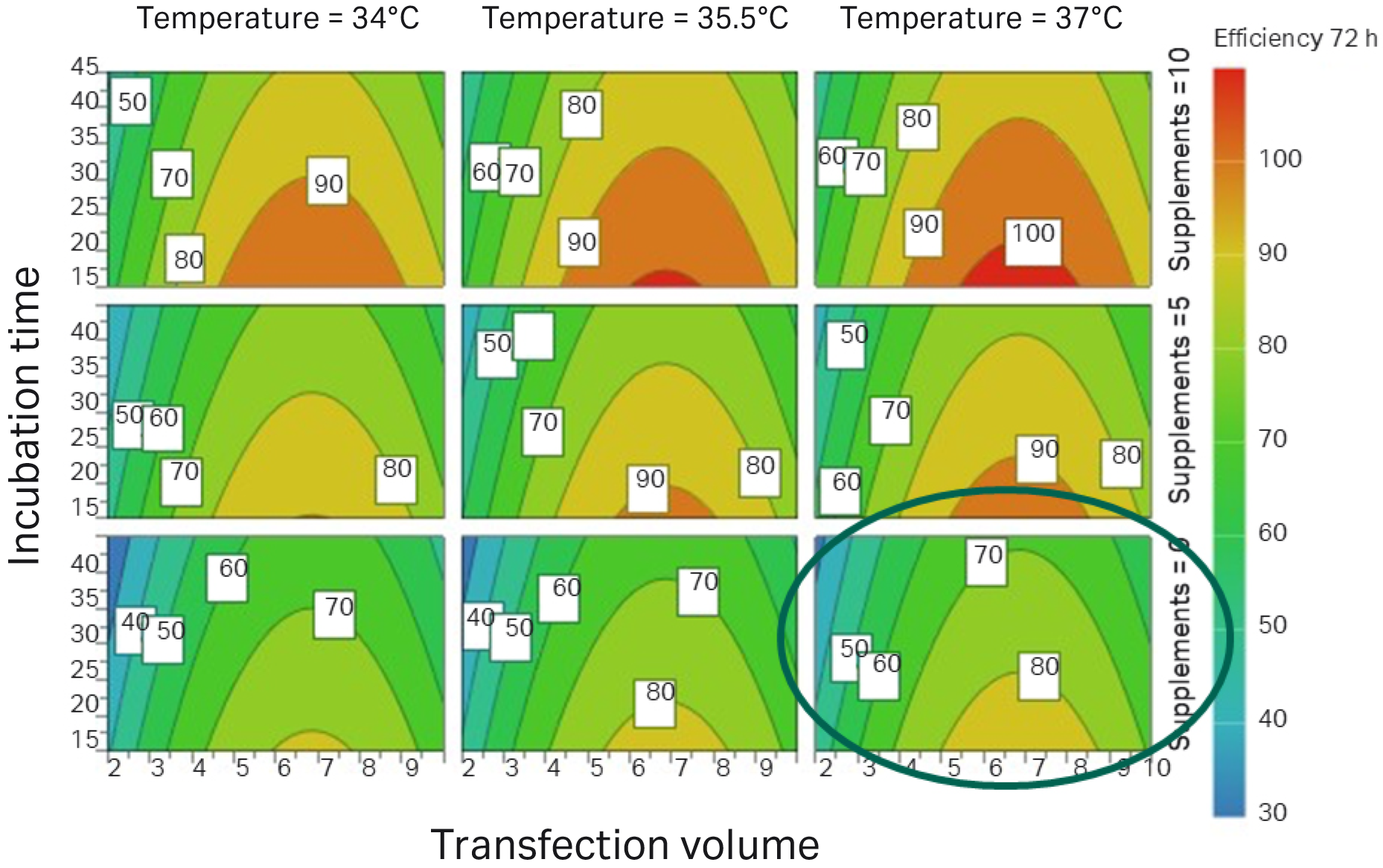 Gene therapy AAV vector production process | Cytiva
