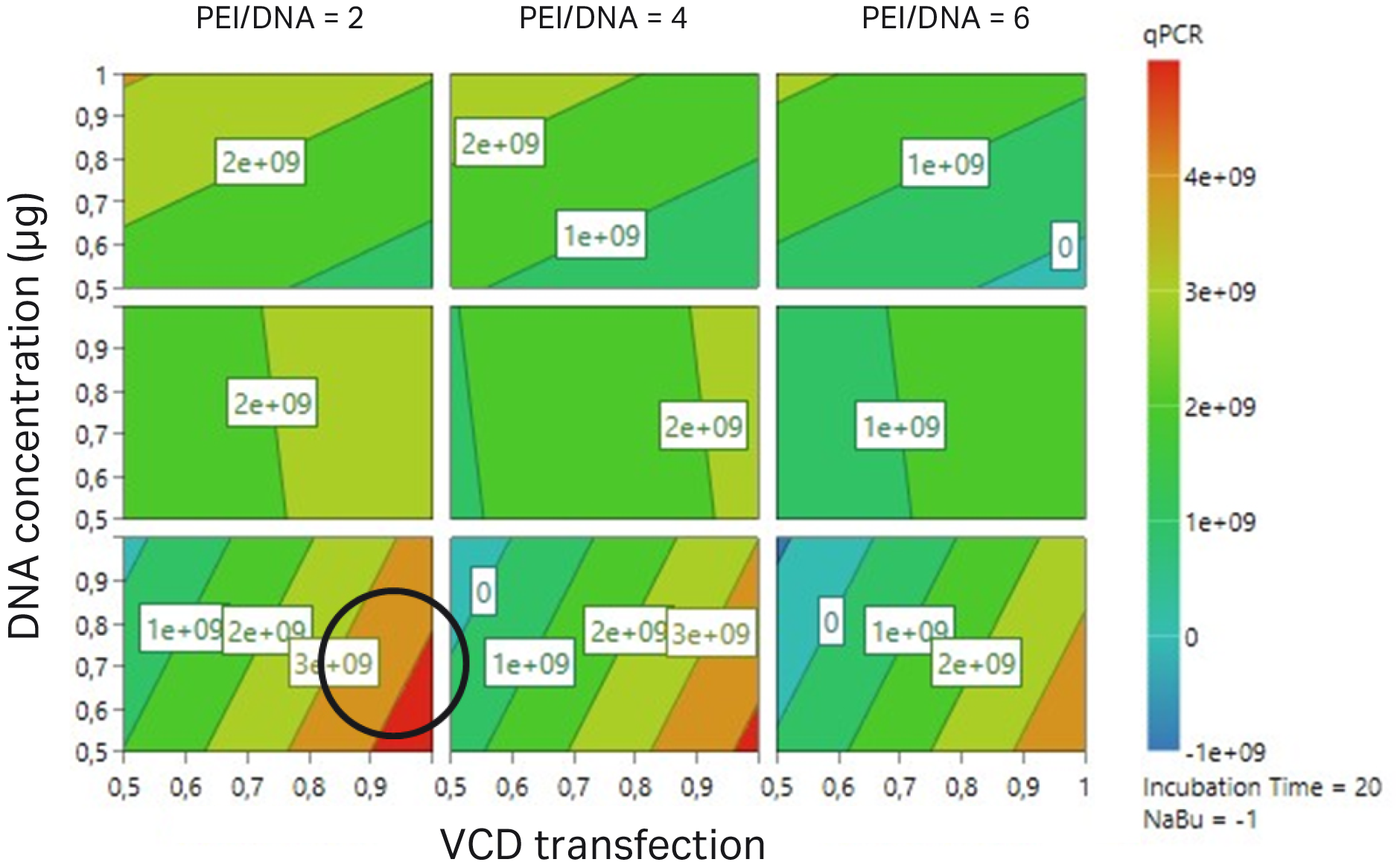 Gene therapy AAV vector production process | Cytiva