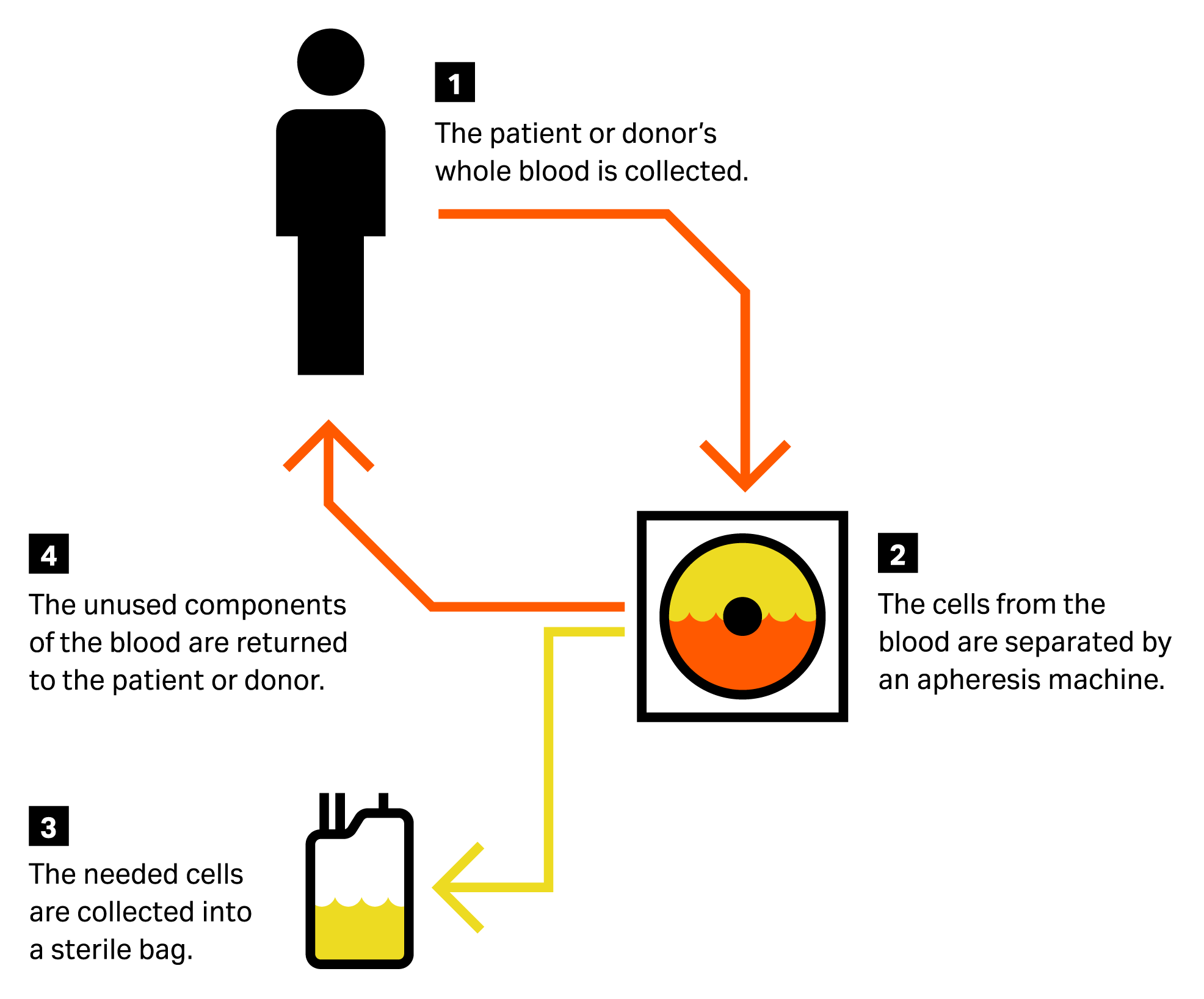 Apheresis process illustration. 