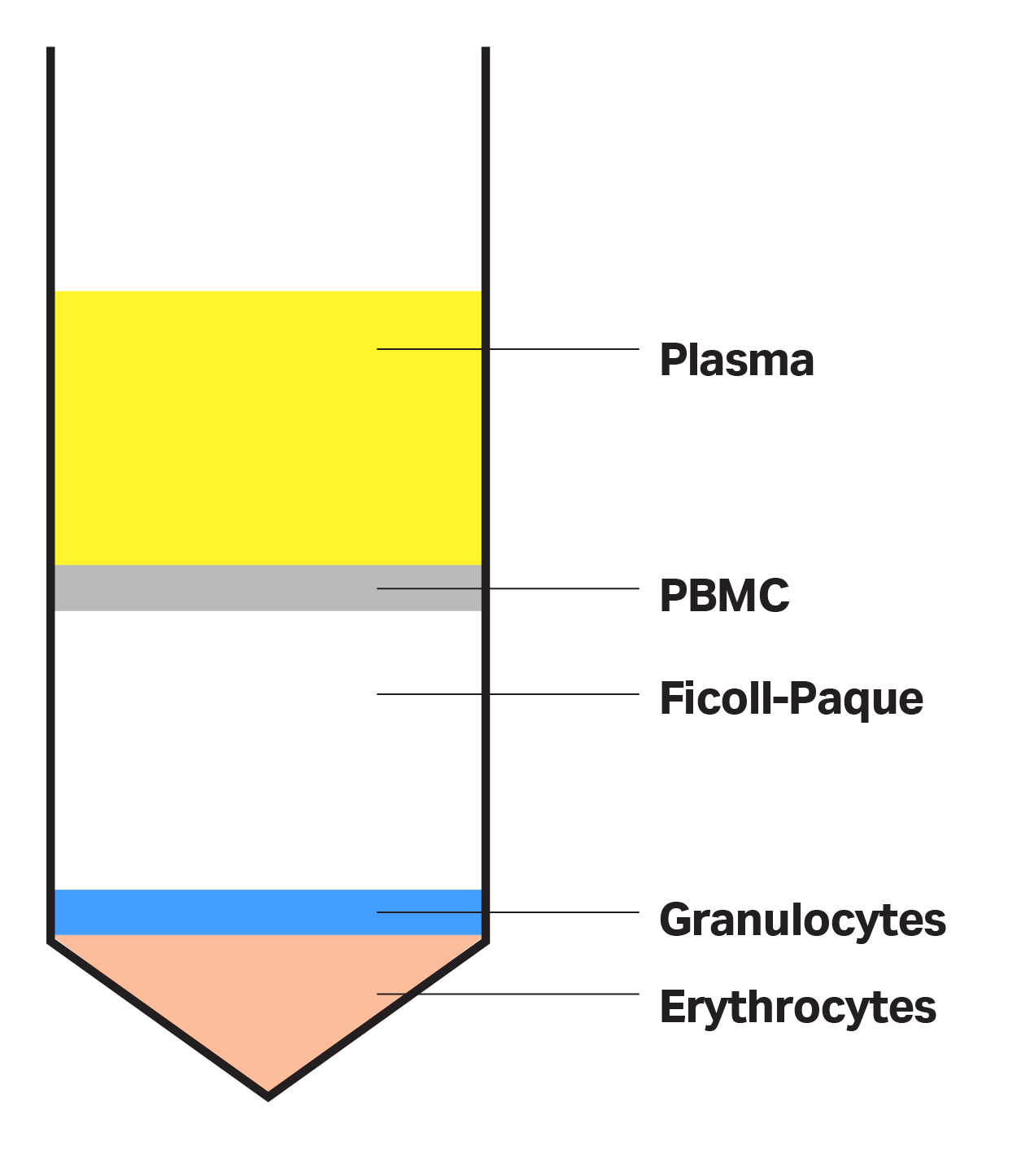 Ficoll-Paque