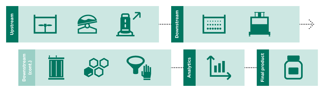Antibody production workflow