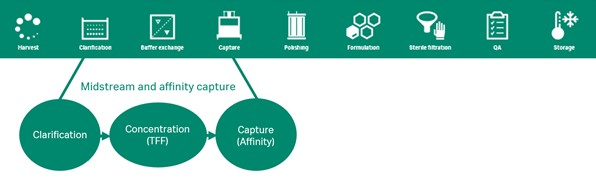 Fibro AAV technology for streamline AAV purification