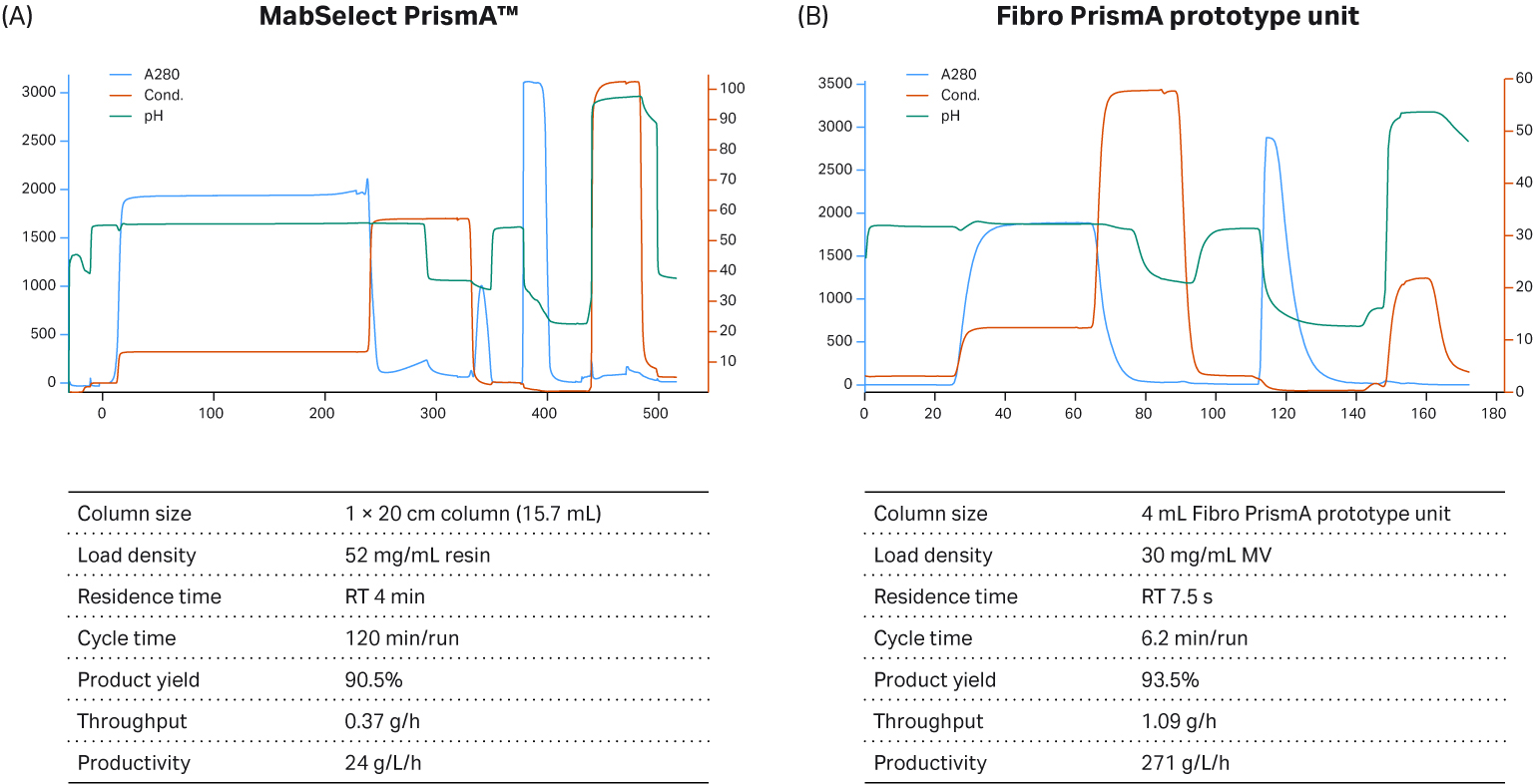 Scaling Fibro chromatography Cytiva