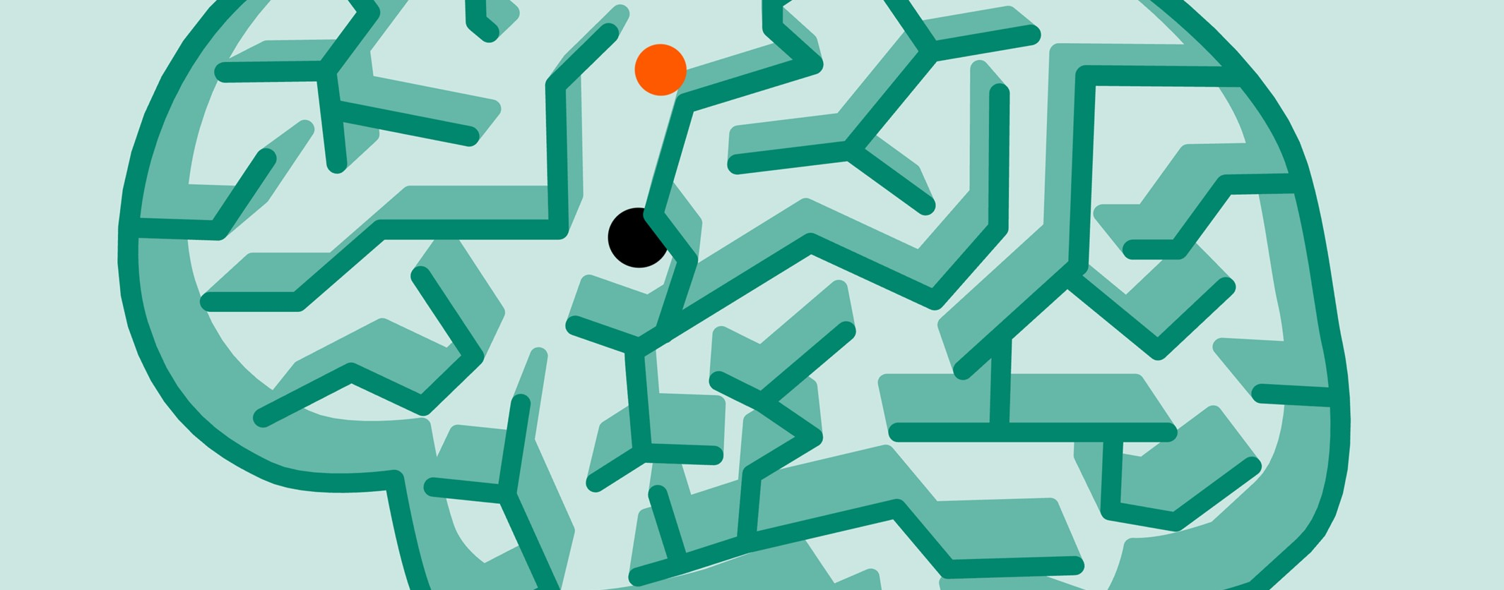 好奇心驱使，改变世界