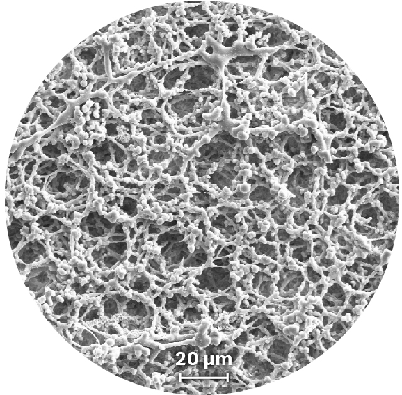 Unbacked nitrocellulose membranes Cytiva
