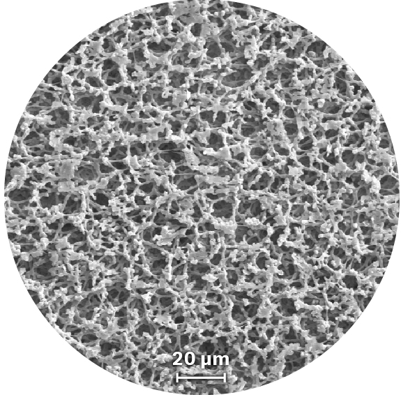 Unbacked nitrocellulose membranes Cytiva