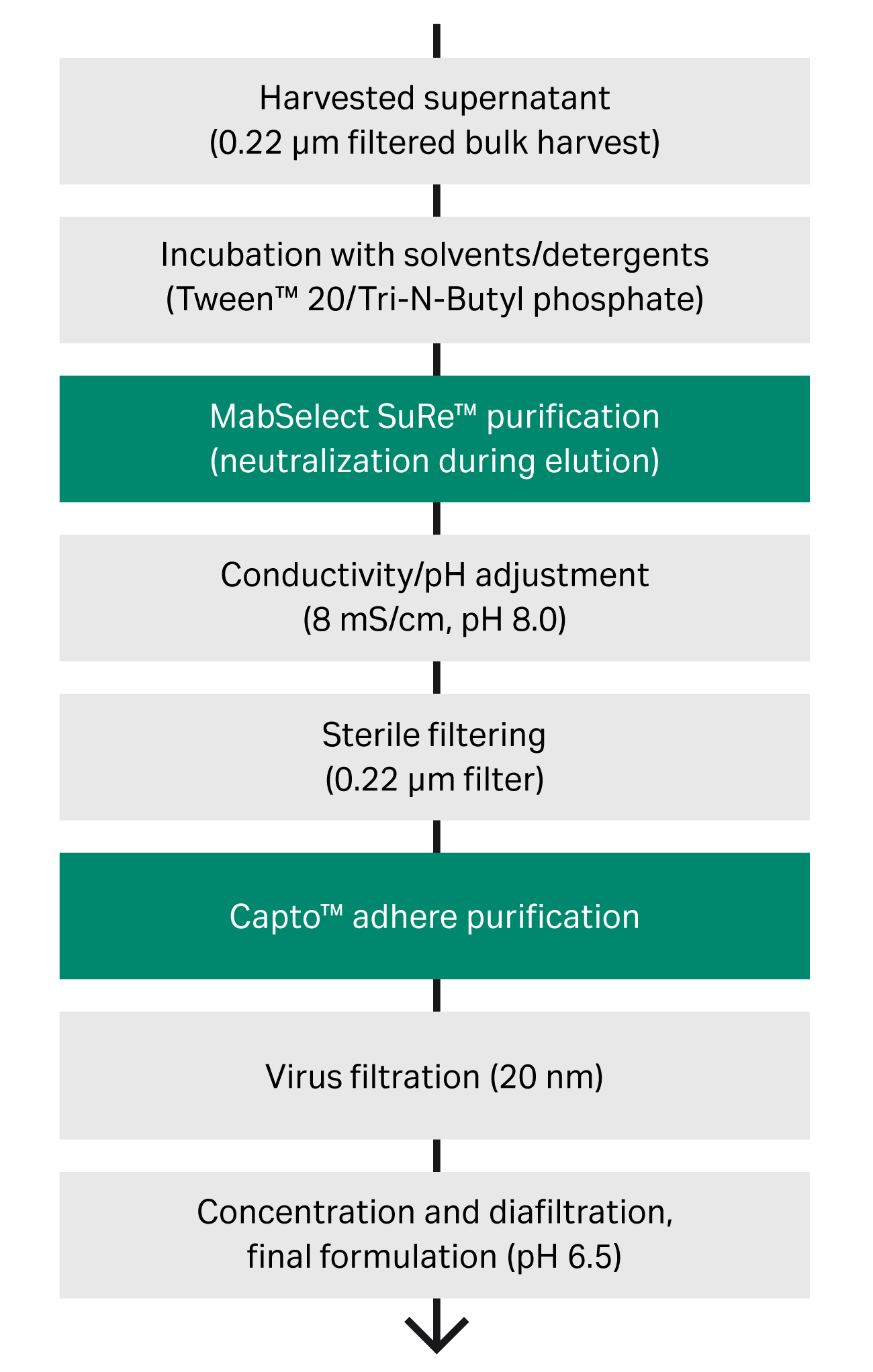 Bispecific antibodies purification in two steps Cytiva