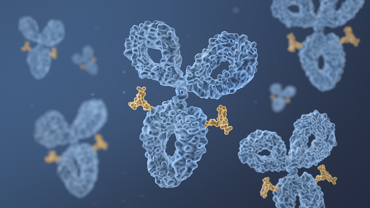 Visualization of an antibody drug conjugate