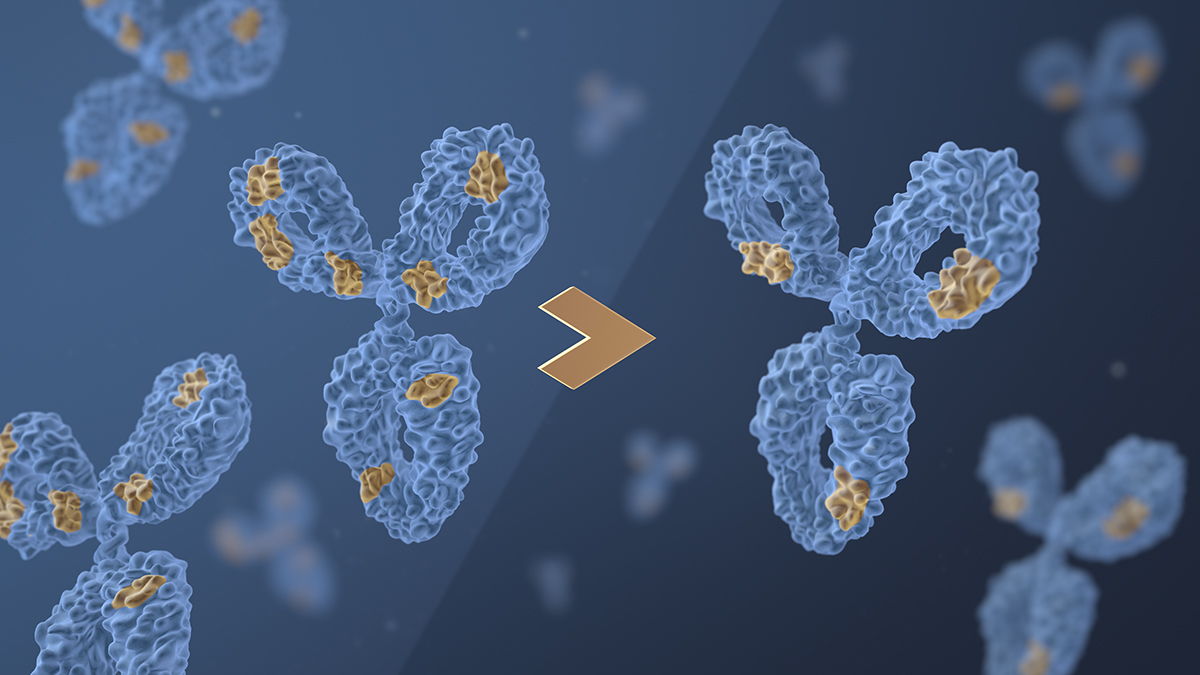 Visualization of antibody biosimilars