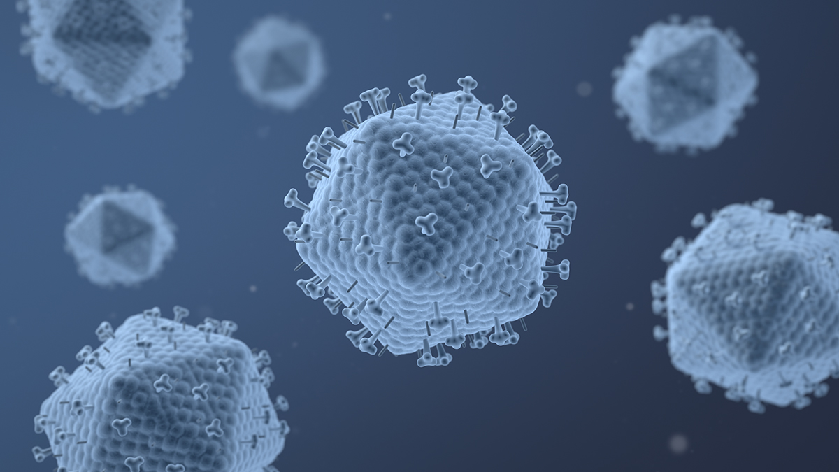 Visualization of virus like particles