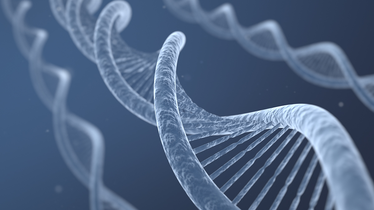 Visualization of nucleic acids/DNA