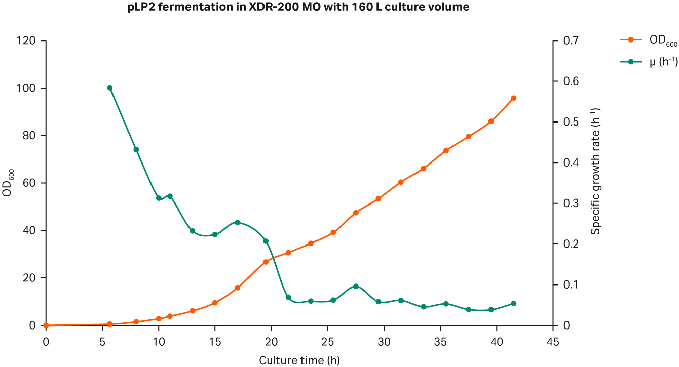 E. coli growth curves in XDR200 MO fermentor with 160 L culture volume and agarose gel electrophoresis analysis of plasmid produced.