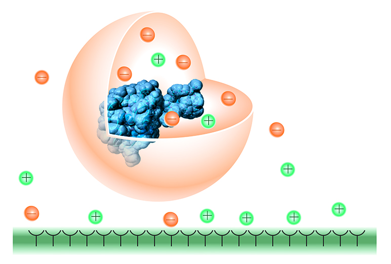 Schematic representation of the mechanistic understanding behind the CPA model.