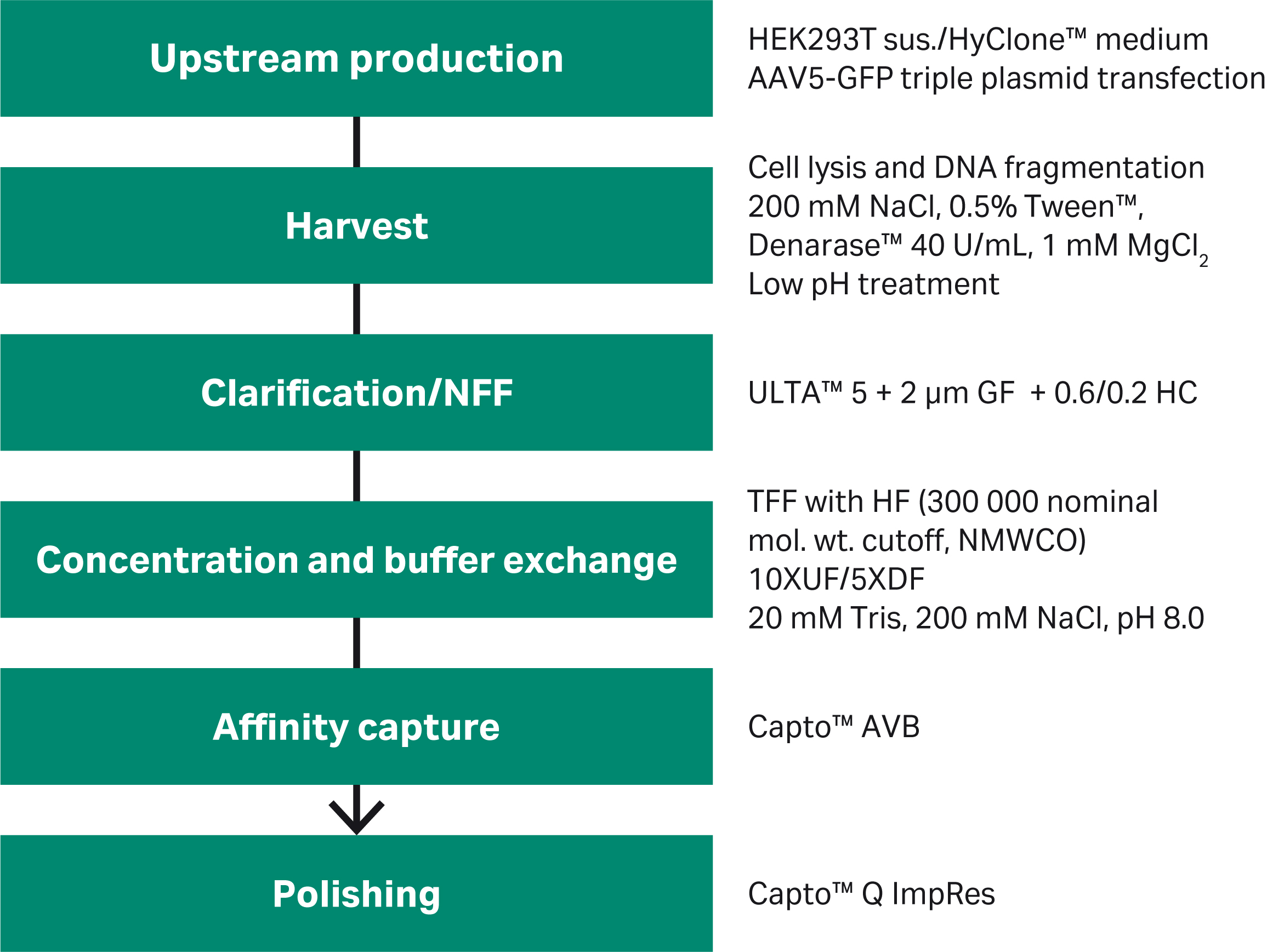 Gene therapy AAV vector purification process Cytiva