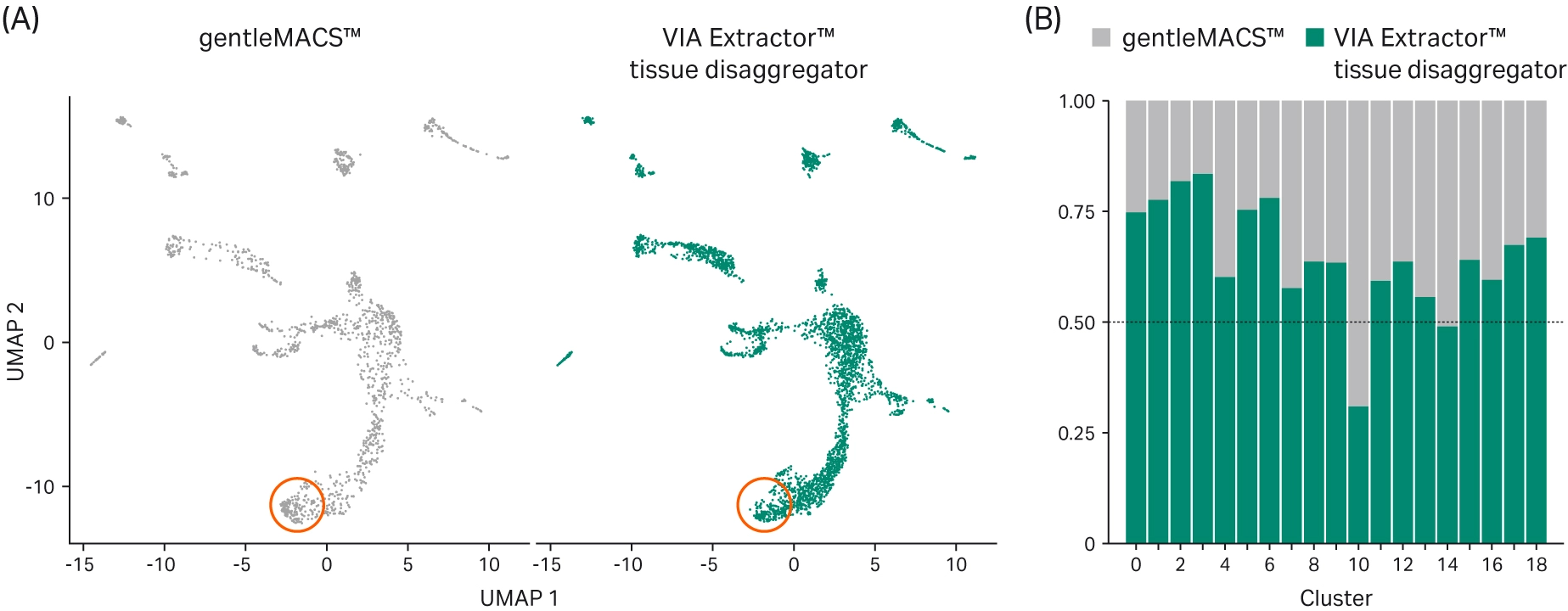 UMAP clustering of cells and differential abundance of cells