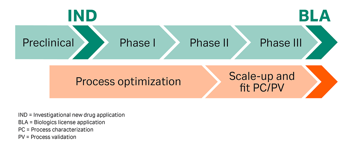 The phases of biopharma downstream development.