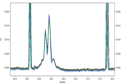 Overlay of all 24 runs of Vectibix samples with a x-axis offset to align the electropherograms around the pI markers.