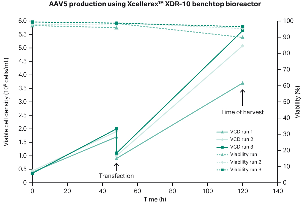 Summary of three rAAV5 production batches in Xcellerex™ XDR-10 bioreactor