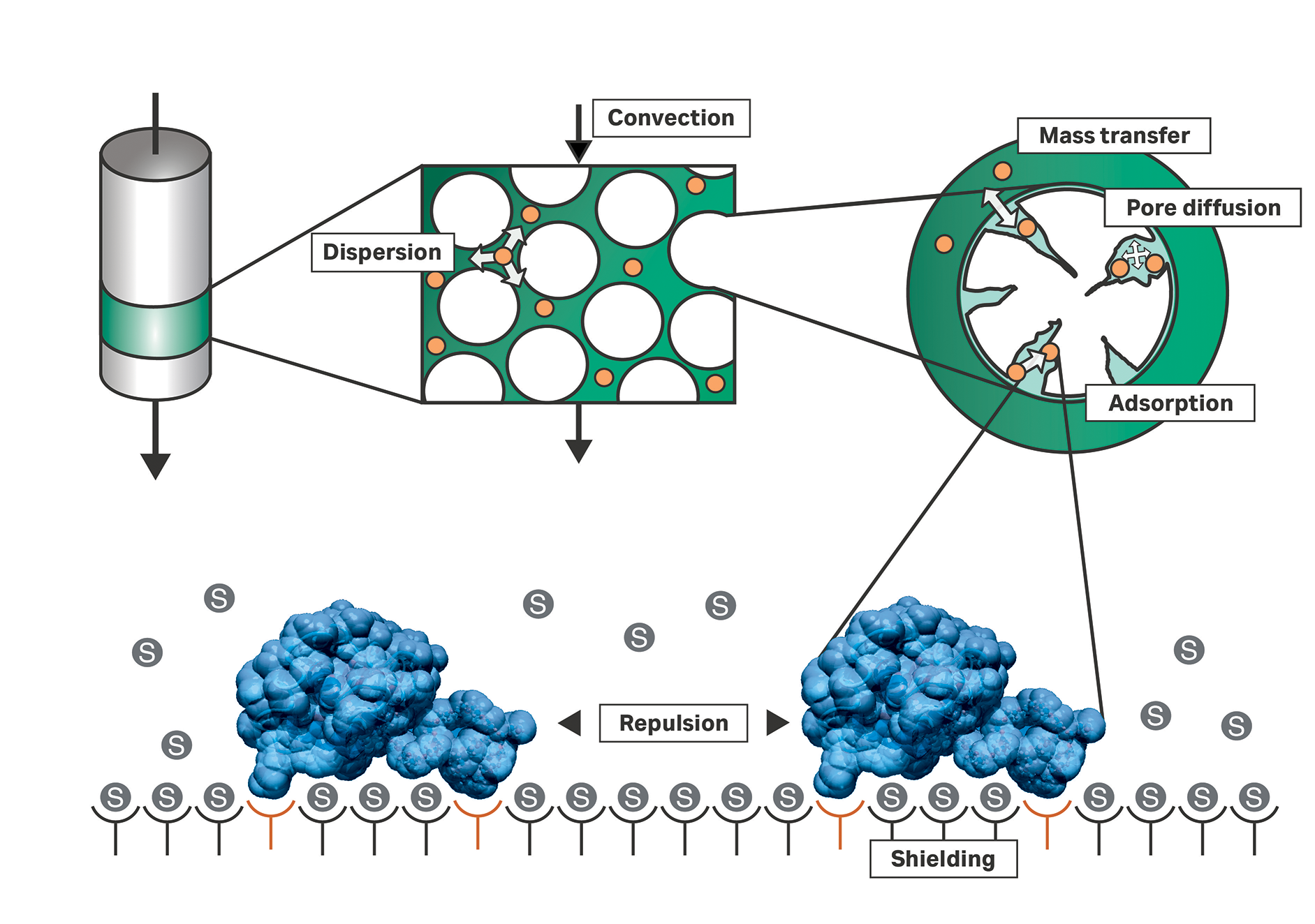 Developing a Thermodynamical Method for Prediction of Activity